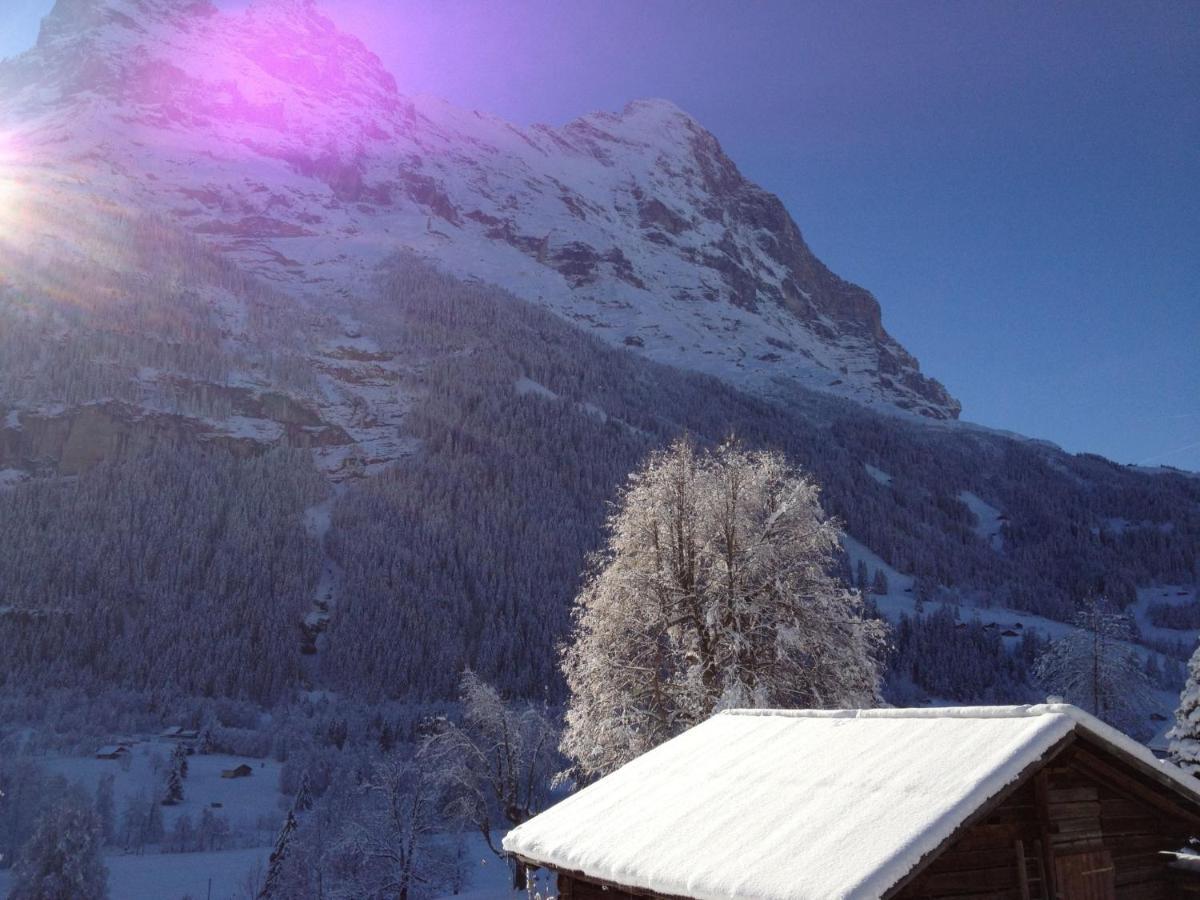 Apartment Chalet Bärgsunna-2 Grindelwald Exteriör bild